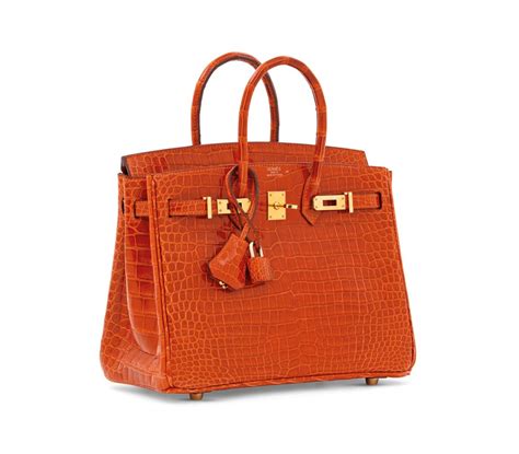 hermes pan d'epice birkin|Birkin bag Hermes designer.